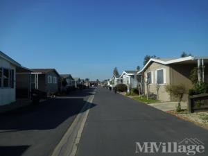 Hilmar Ca Senior Retirement Living Manufactured And Mobile Home